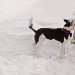 Breckenridge_Wedding0017