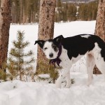 Breckenridge_Wedding0020